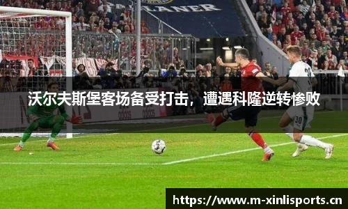 新利体育官网