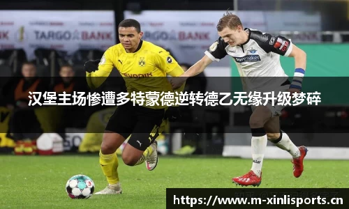 新利体育官网
