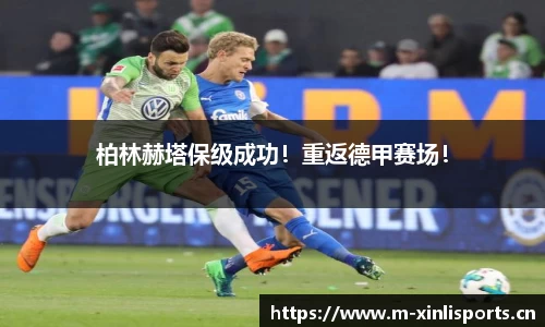 新利体育平台