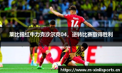 新利体育