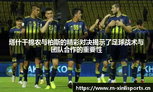 新利体育